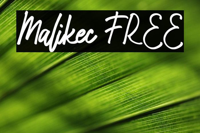 Malikec FREE Example 1