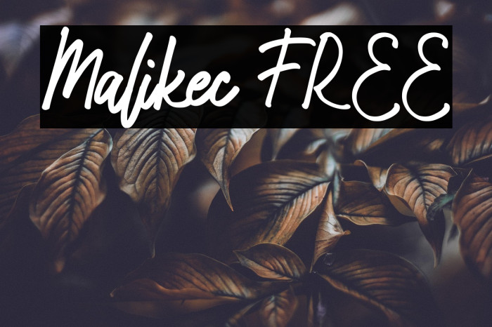 Malikec FREE Example 2