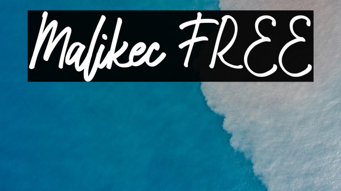 Malikec FREE Example 3