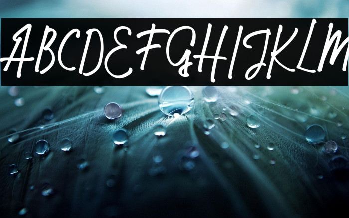 MalikecFREE Example 1