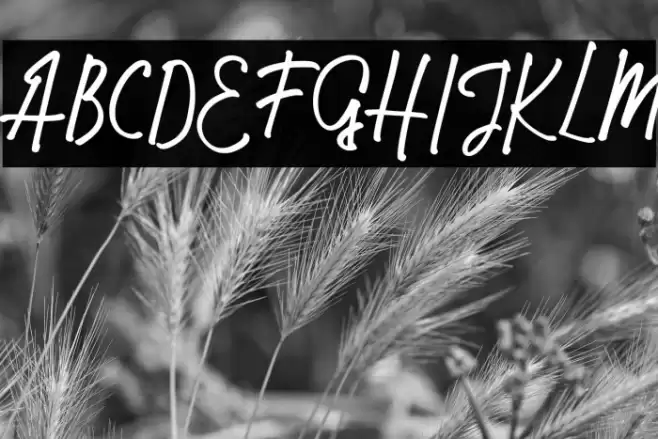 MalikecFREE Font examples