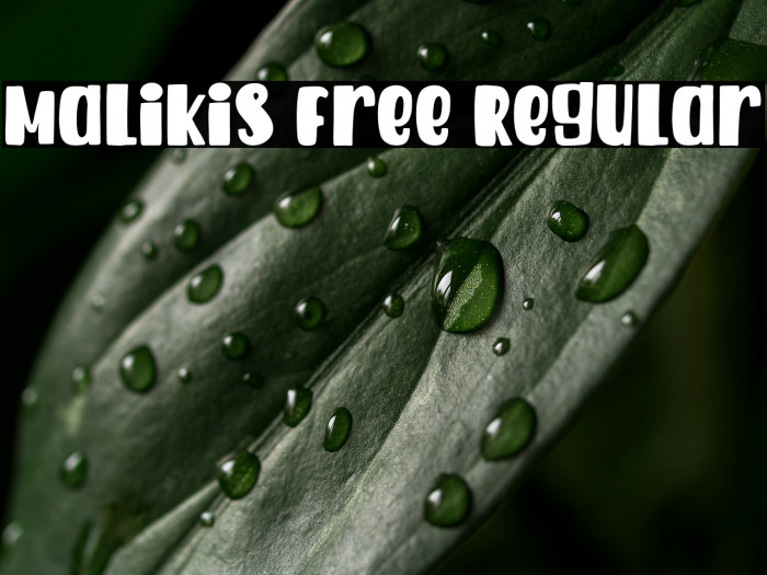 Malikis Free Regular Example 3
