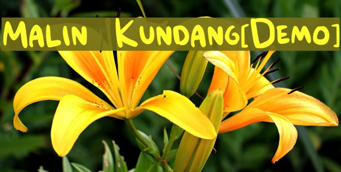 Malin Kundang[Demo] Example 2