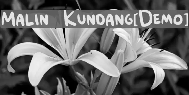 Malin Kundang[Demo] Font examples