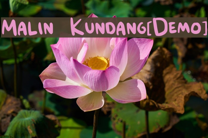 Malin Kundang[Demo] Example 3