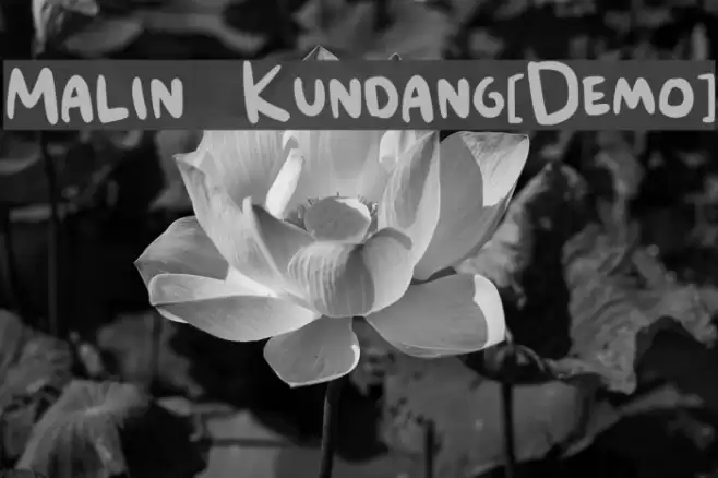 Malin Kundang[Demo] Font examples