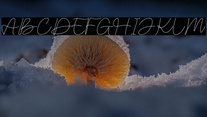 Malinavsky Example 1