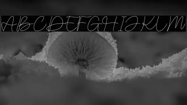 Malinavsky Schriftart examples