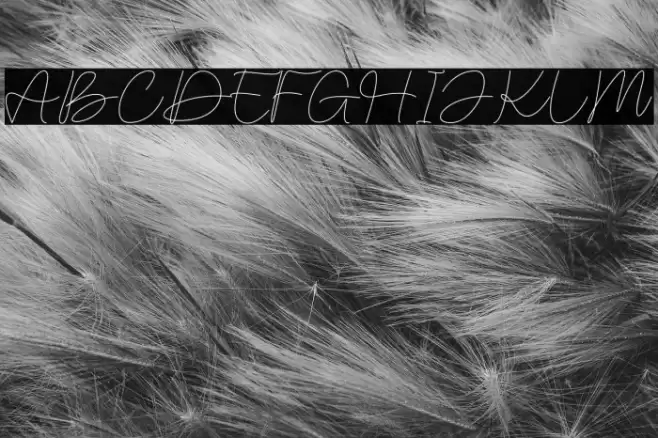 Malinavsky Schriftart examples