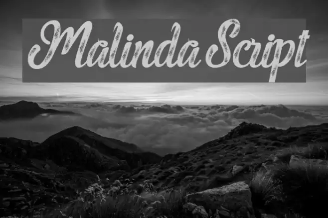 MalindaScript フォント examples
