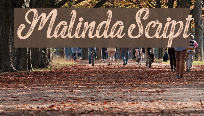 MalindaScript フォント examples