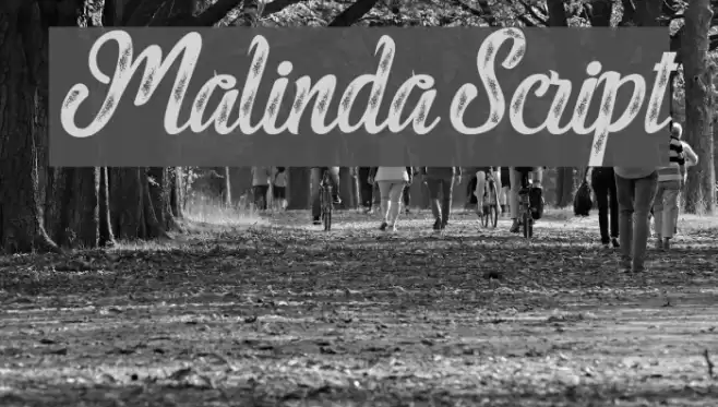 MalindaScript フォント examples