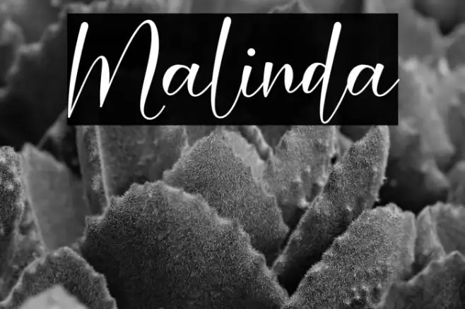 Malinda Example 1