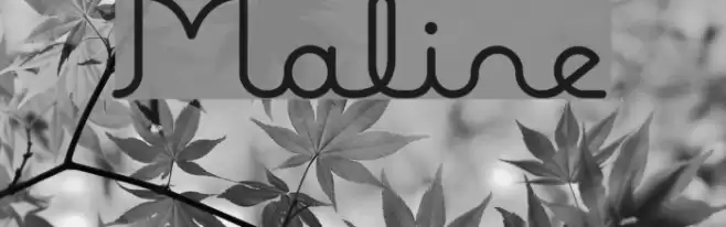 Maline Font examples