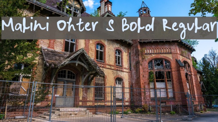 Malini Ohter S Bold Regular Font examples