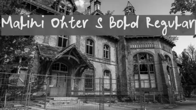 Malini Ohter S Bold Regular Font examples