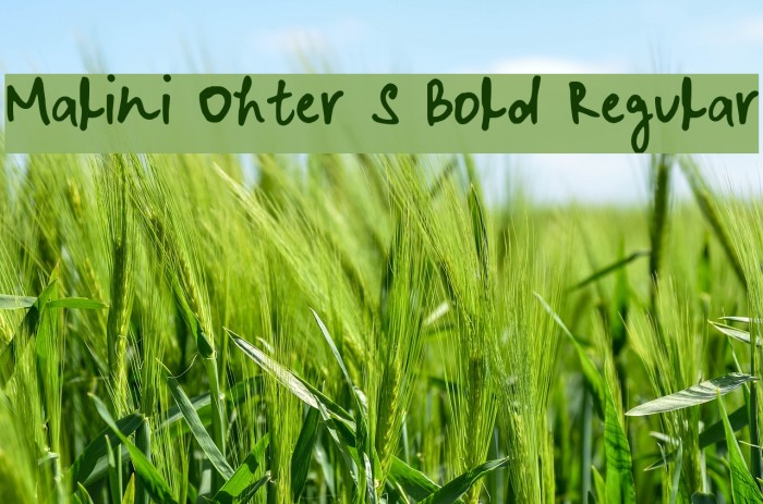 Malini Ohter S Bold Regular Font examples