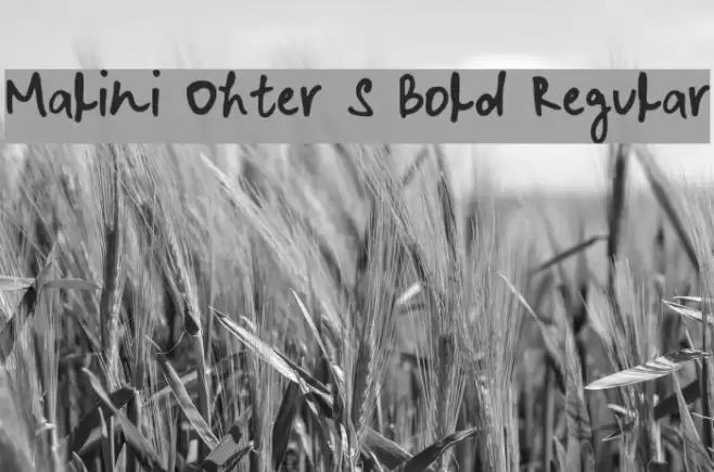 Malini Ohter S Bold Regular Font examples