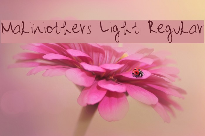 Maliniothers Light Regular Font examples