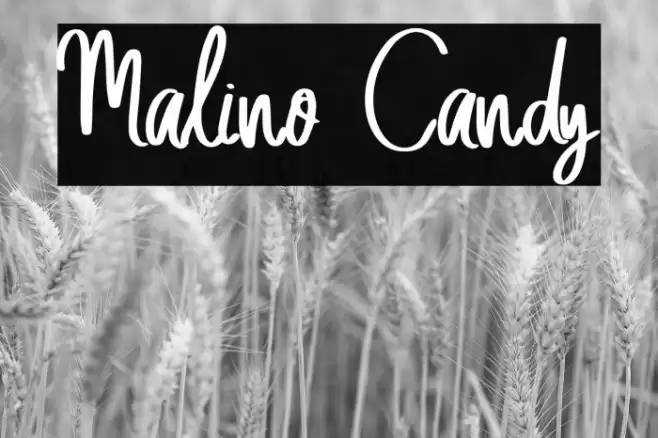 Malino Candy Font examples