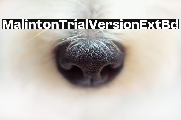 MalintonTrialVersion-ExtBd Example 2