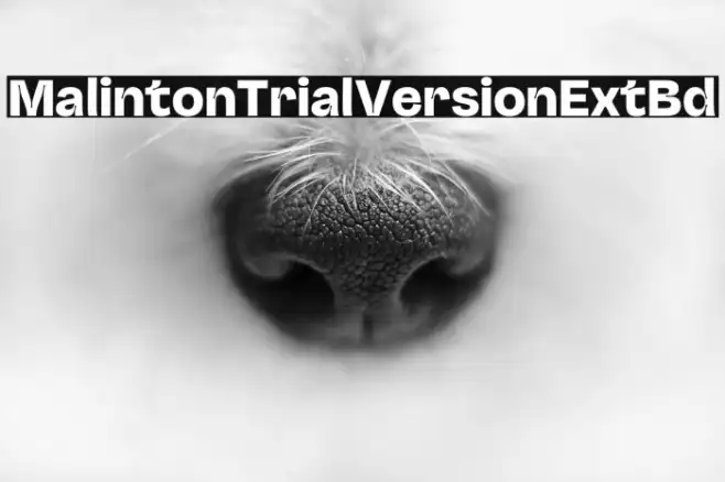 MalintonTrialVersion-ExtBd Example 2
