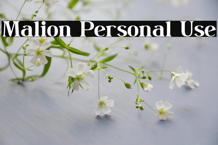 Malion Personal Use Example 2