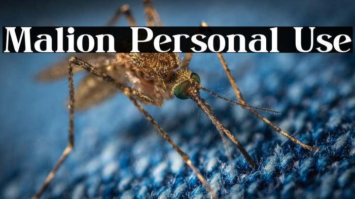 Malion Personal Use Example 3