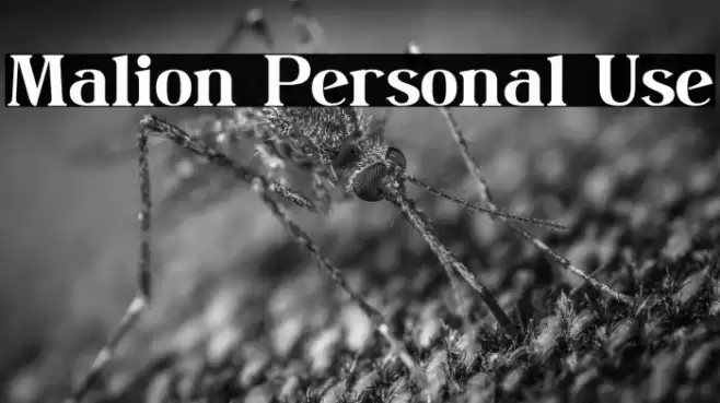 Malion Personal Use Font examples