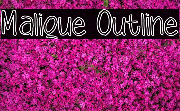 Malique Outline Example 2