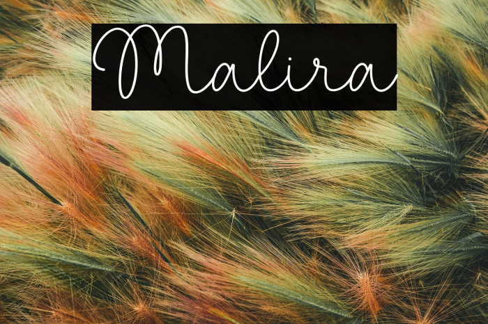 Malira Example 1