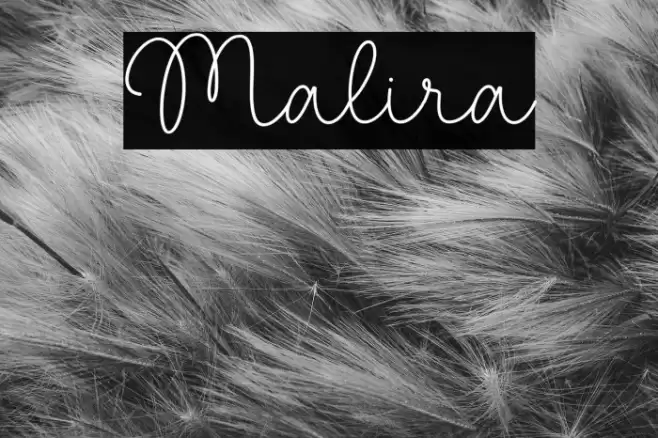 Malira Font examples
