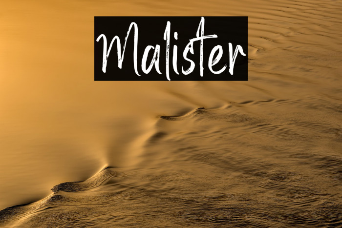 Malister Example 2
