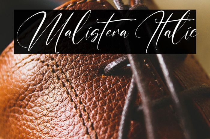 Malistera Italic Example 3