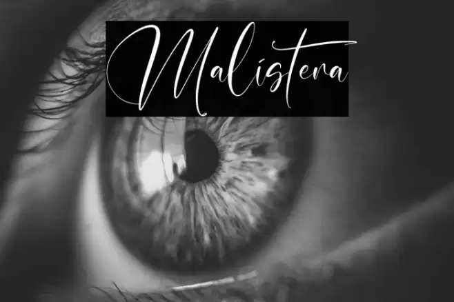 Malistera Font examples