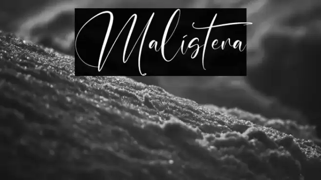 Malistera Font examples