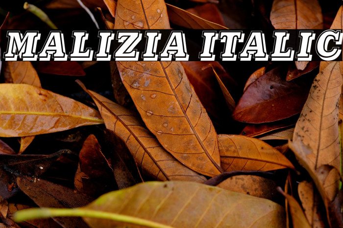 Malizia Italic Example 1