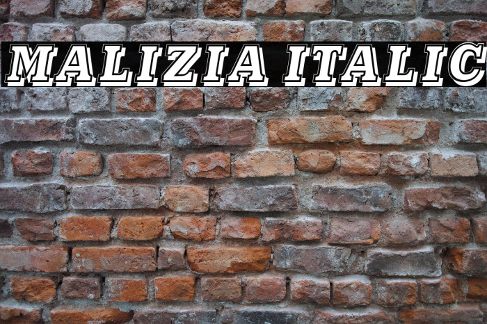 Malizia Italic Example 2