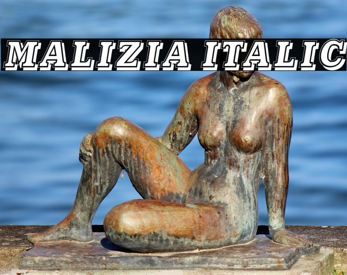 Malizia Italic Example 3