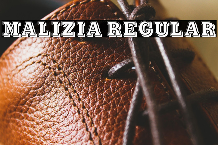 Malizia Regular Example 1