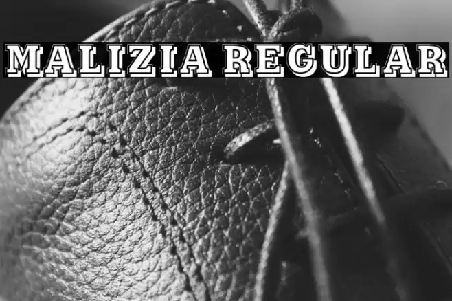 Malizia Regular Font examples