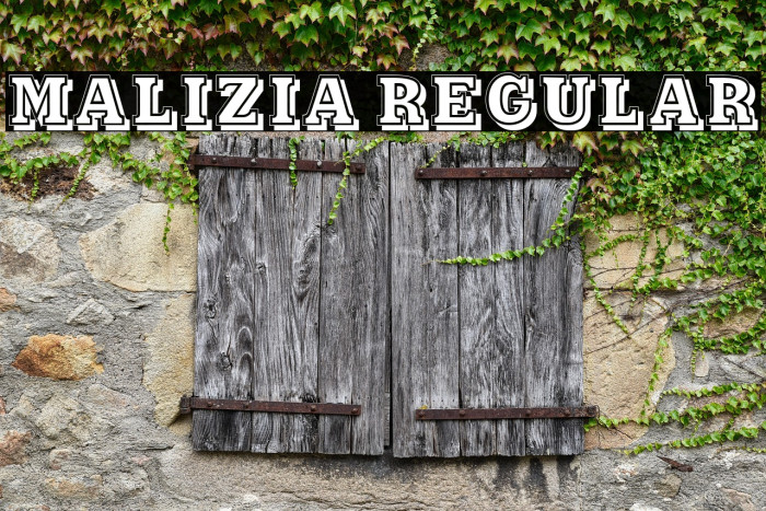 Malizia Regular Example 2