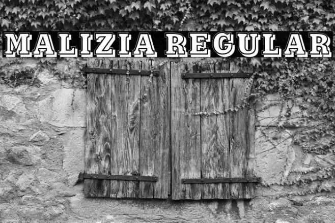 Malizia Regular Font examples