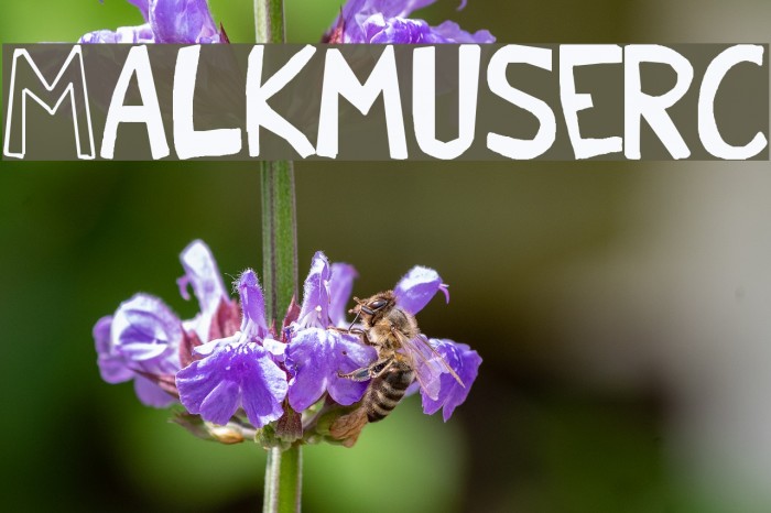 Malkmus_erc_001 Schriftart examples