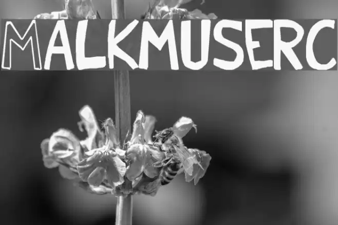Malkmus_erc_001 Schriftart examples