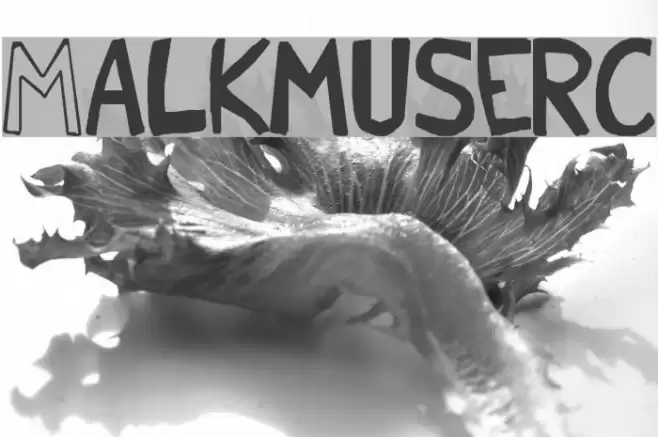 Malkmus_erc_001 Schriftart examples