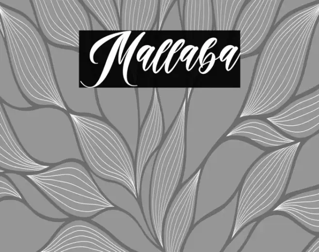 Mallaba Example 3