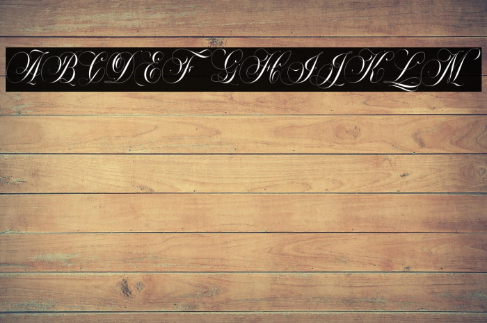 Mallaire-CalligraphyDemo Example 2