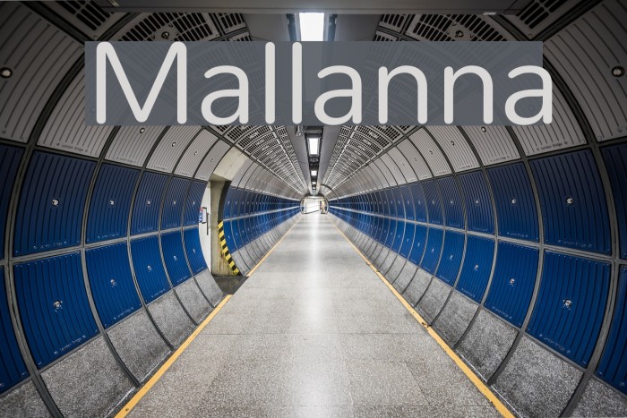 Mallanna Font examples