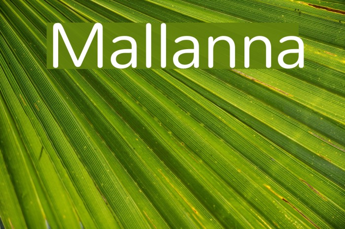Mallanna Font examples